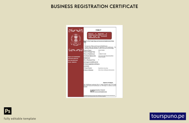 listo para imprimir Certificado de registro de India Punjab Plantilla de Word y 
